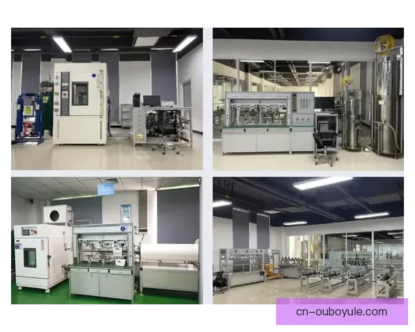 拉涅利再掌舵后防质量升降解析展望