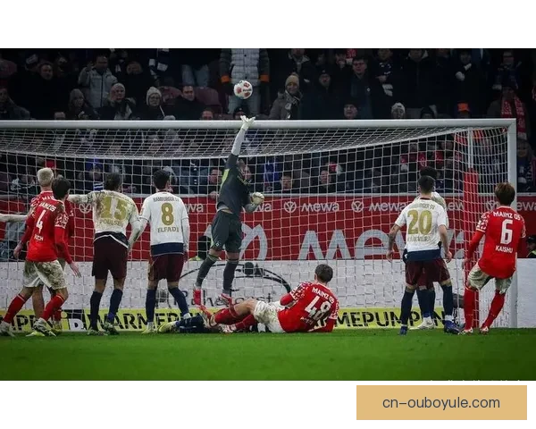 汉堡球星怒批美因茨野蛮行径队